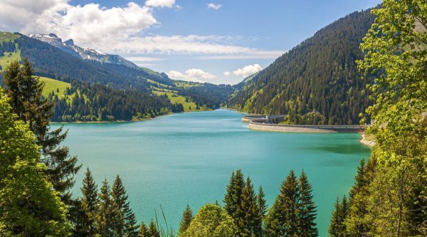 Photo pour conteneur 1ere page